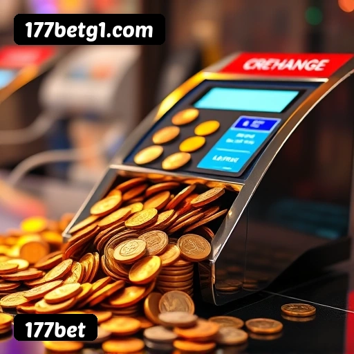 177bet Rio de Janeiro - Bonus Terms